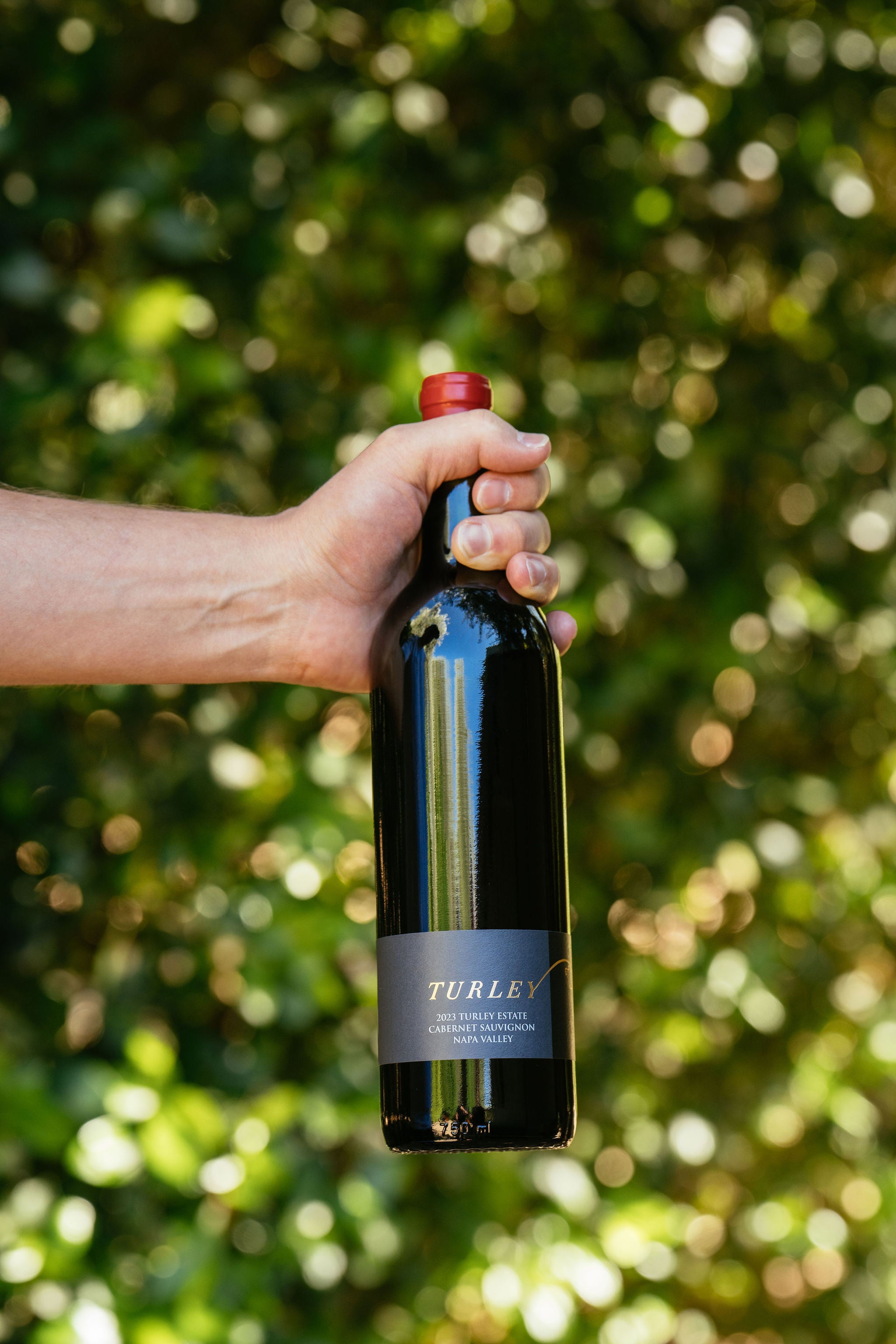 Online Store – Turley Wine Cellars